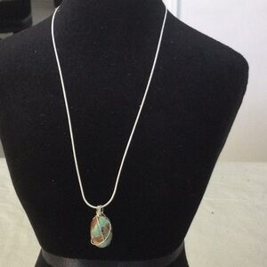 Silver Color and Turquoise Pendant Necklace NWOT *